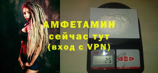 шишки Нея