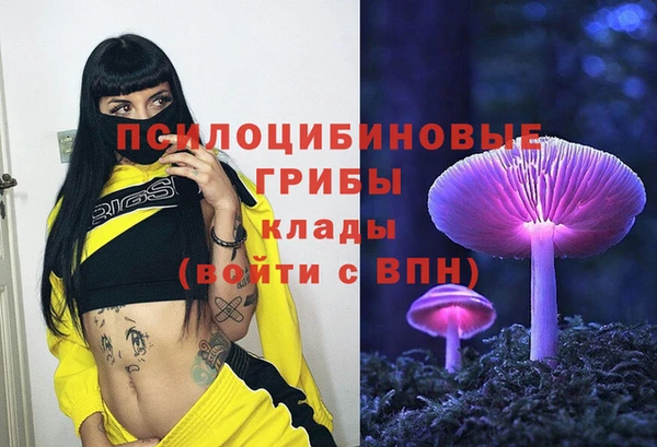 шишки Нея