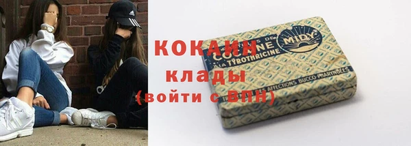 МДПВ Нефтегорск