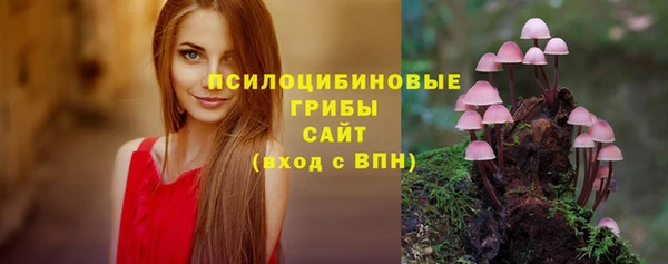 МДПВ Нефтегорск