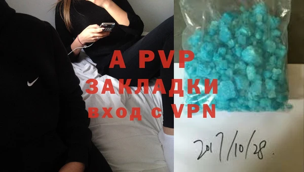 стаф Новокубанск
