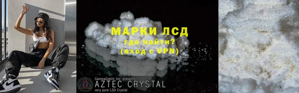 стаф Новокубанск