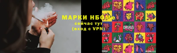 стаф Новокубанск