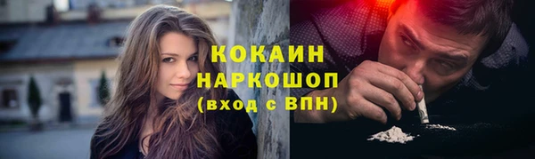 шишки Нея