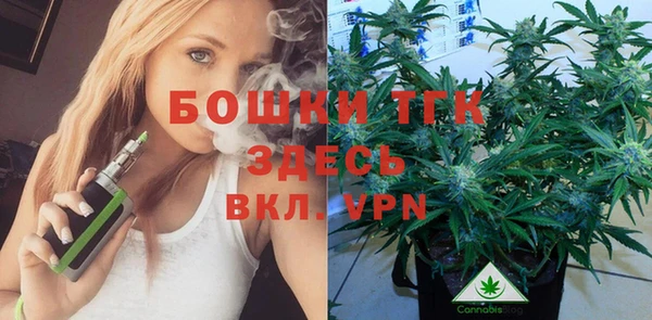 каннабис Новозыбков