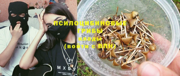 каннабис Новозыбков