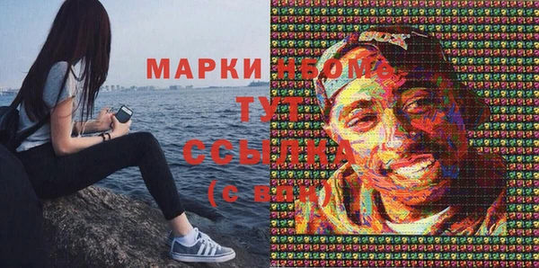 шишки Нея