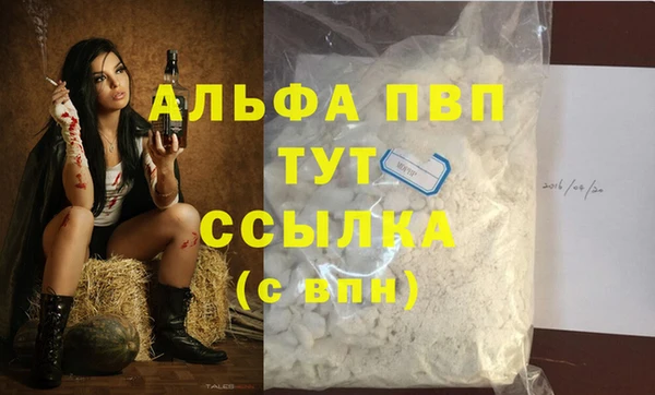 стафф Нефтекумск